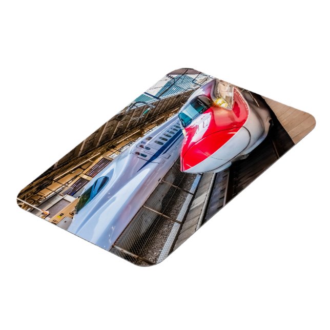 Two Shinkansen at the Tokyo Station Magnet (Left Side)