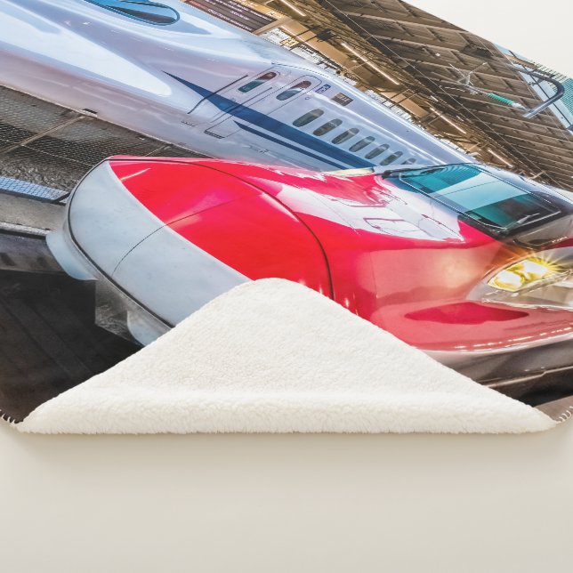 Two Shinkansen at the Tokyo Station Sherpa Blanket (3/4)