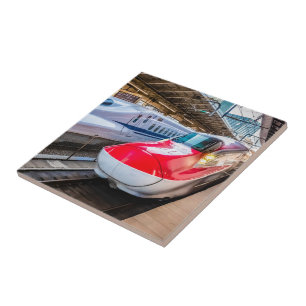 Two Shinkansen at the Tokyo Station Tile