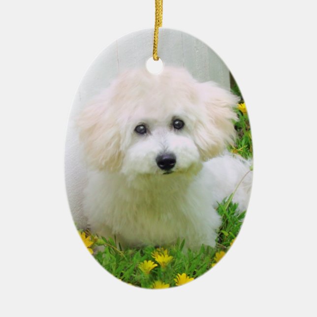 Two Sided Photo Holiday Ornament (Front)