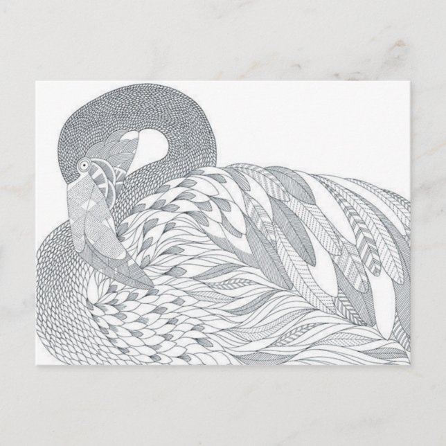 two sided swan adult colouring postcard gift (Front)