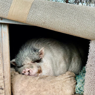 Two sides of a Polar Bear  Coffee Mug
