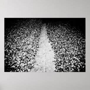 two sides of cocoa poster