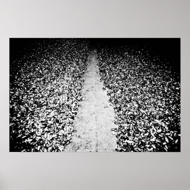 two sides of cocoa poster (Front)