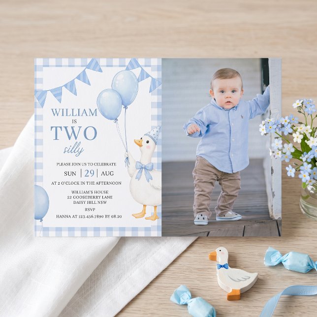 Two Silly Blue Gingham Boy 2nd Birthday Invitation (Creator Uploaded)