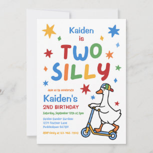 Two Silly Goose Boy Colourful 2nd Birthday Party Invitation