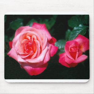 Two Silver Jubilee rose flowers Mouse Mat