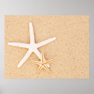 Two Simple Starfish Poster