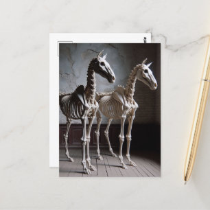 Two Skeletal Horses Postcard