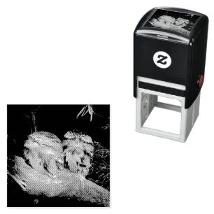 Two Sleepy Frogmouth Owls,  Self-inking Stamp