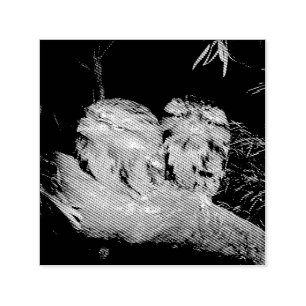 Two Sleepy Frogmouth Owls, Self-inking Stamp