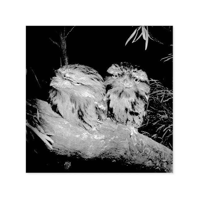 Two Sleepy Frogmouth Owls,  Self-inking Stamp (Design)