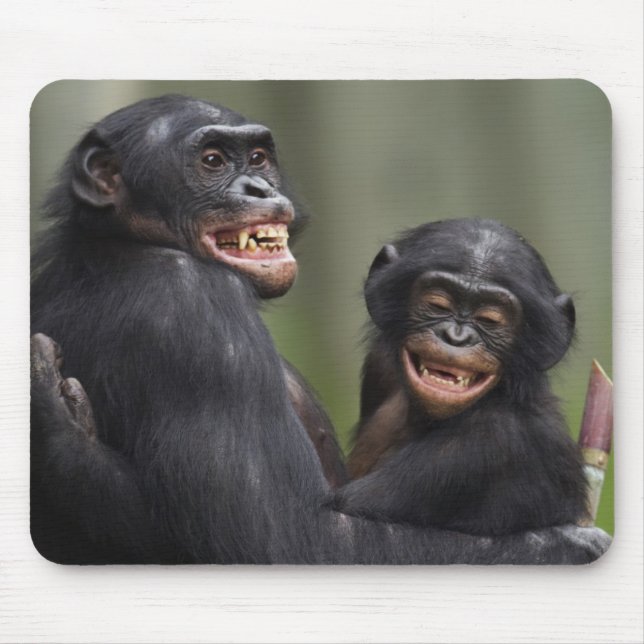 Two Smiling Bonobos Mouse Mat (Front)