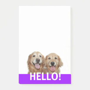 Two Smiling Golden Retriever Dogs Hello Post-it Notes
