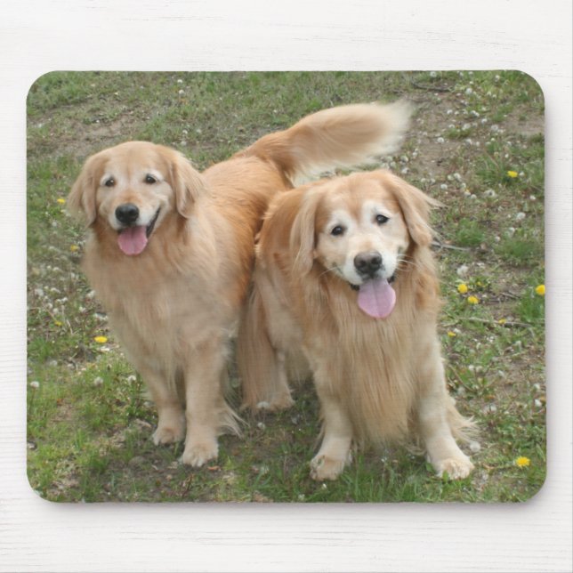 Two Smiling Golden Retriever Dogs in the Park Mouse Mat (Front)