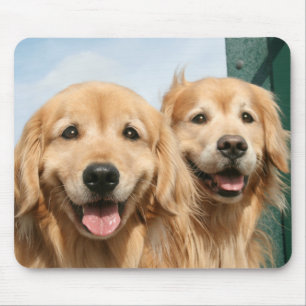 Two Smiling Golden Retrievers Mouse Mat