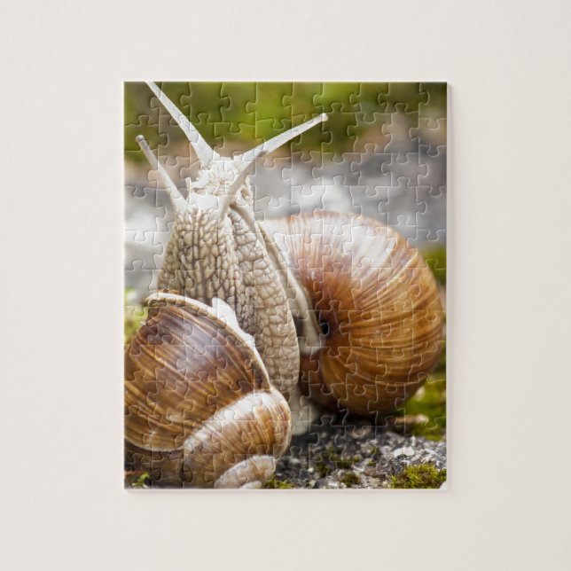 Two Snails Jigsaw Puzzle (Vertical)