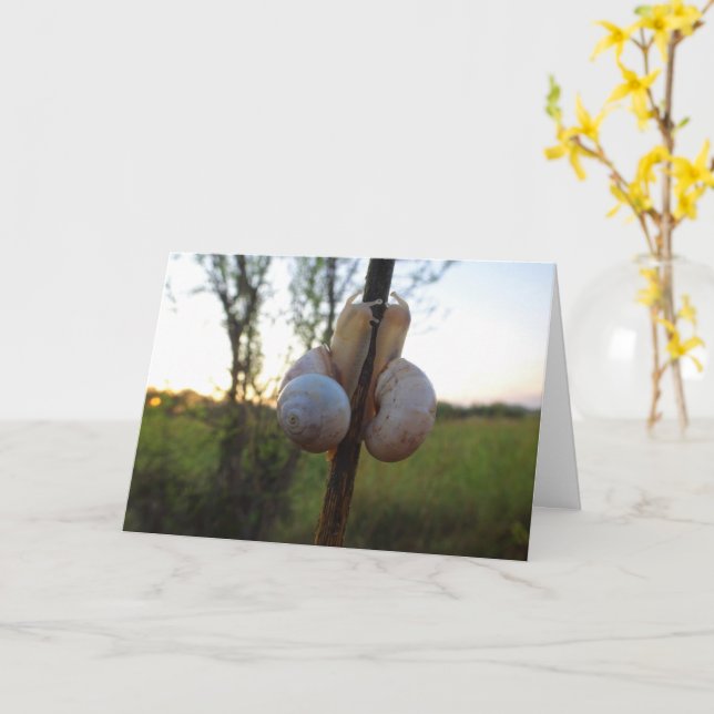 Two Snails on a Stem Card (Yellow Flower)