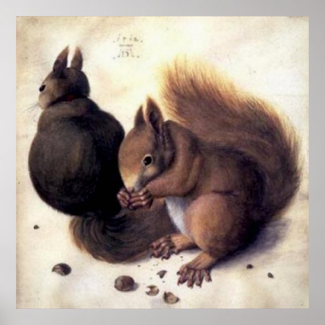 ‘Two Squirrels’ by Albrecht Dürer Poster (Front)