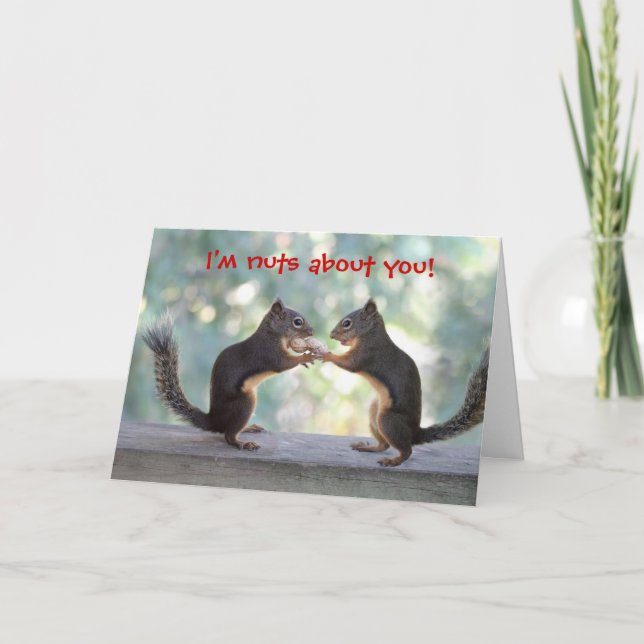 Two Squirrels Sharing Card (Front)