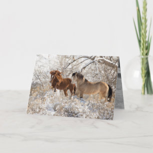 Two Stallions in Snow - Wild Horse Greeting Card