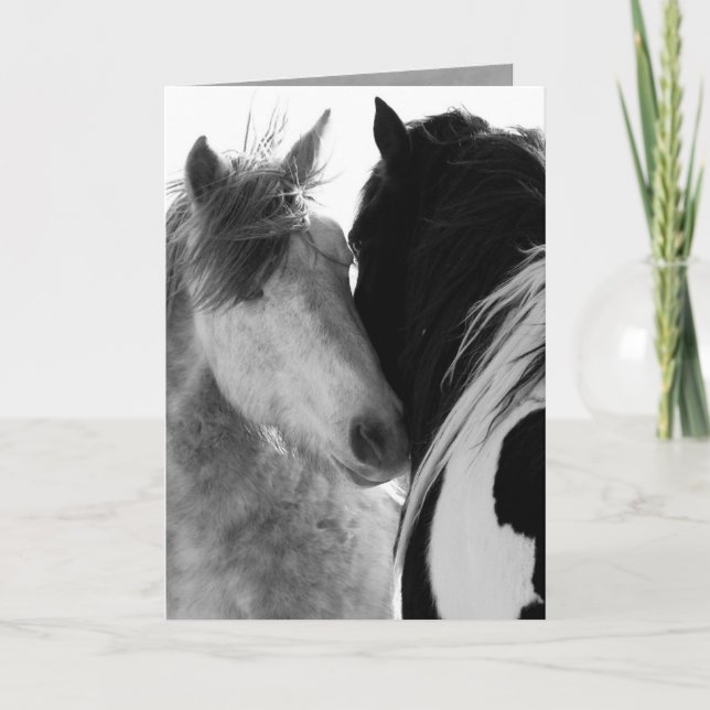 Two Stallions Wild Horse Greeting Card (Front)