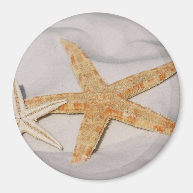 Two Starfish in the Sand Magnet (Front)