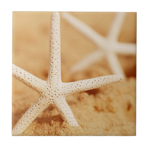 Two Starfish Tile