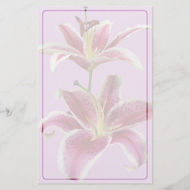 Two Stargazer Lilies Stationery (Front)