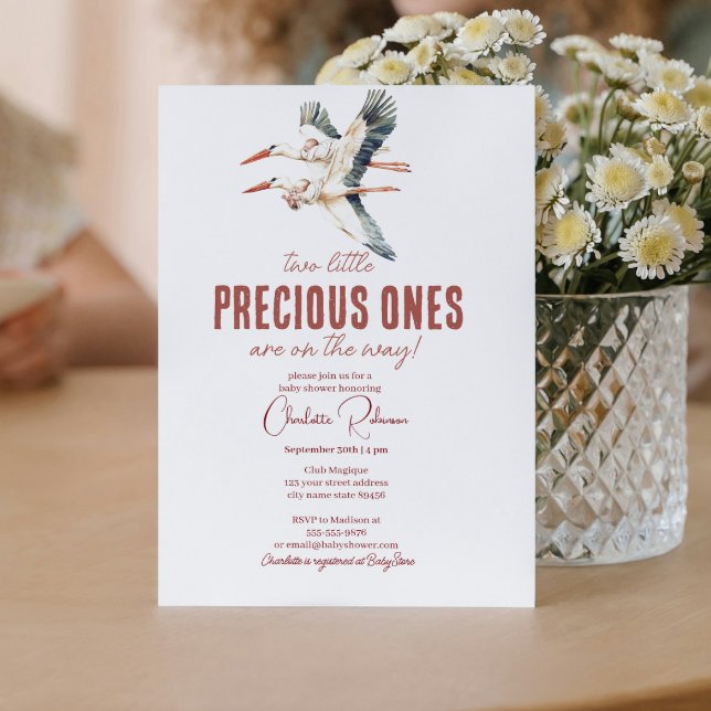 Two stork and twins baby shower invitation (Creator Uploaded)
