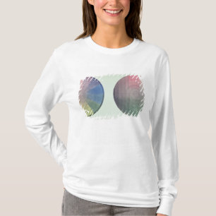 Two studies of cross and longitudinal section T-Shirt