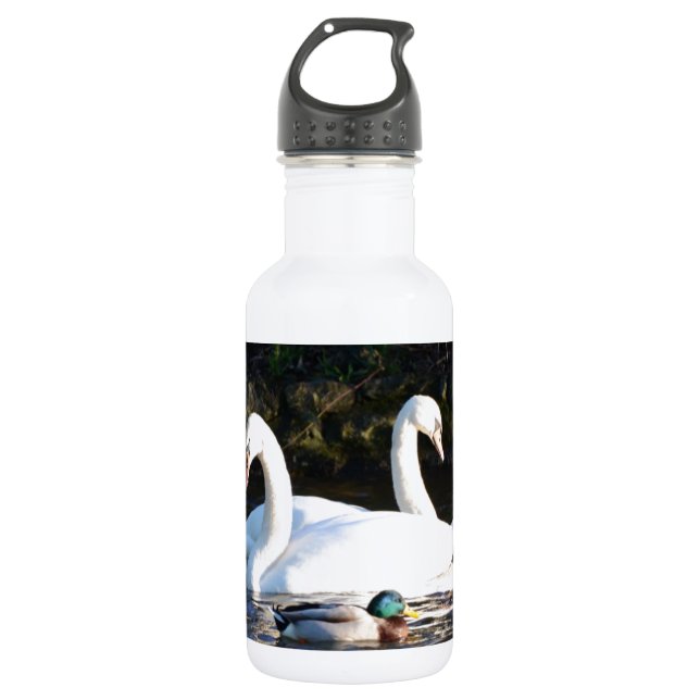 Two Swans And A Duck 532 Ml Water Bottle (Front)