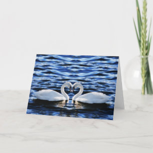 Two swans card