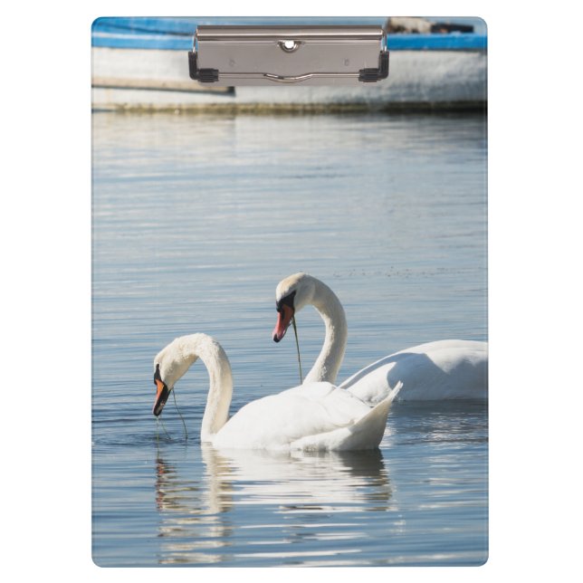 Two swans clipboard (Front)