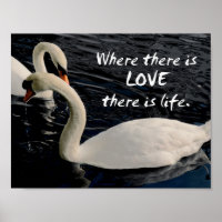 Two Swans on Lake