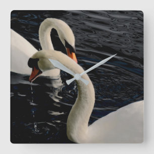 Two Swans on Lake Square Wall Clock