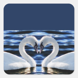 Two swans square sticker