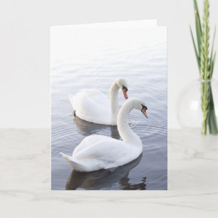 Two Swans Swimming on Tranquil Lake Card