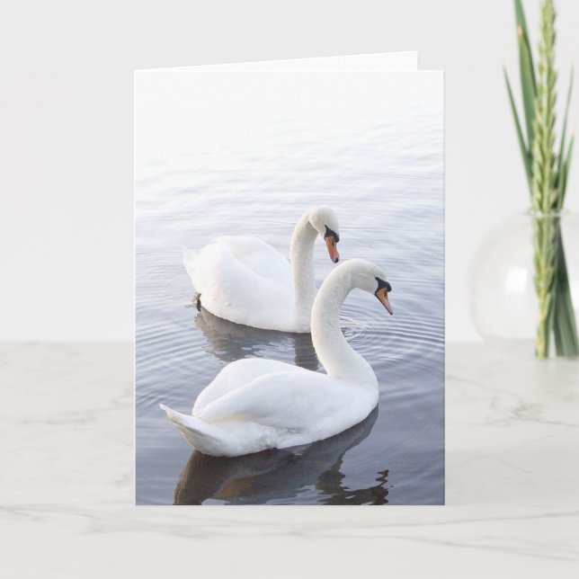 Two Swans Swimming on Tranquil Lake Card (Front)