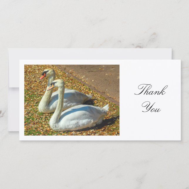 Two Swans - Thank You (Front)