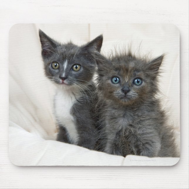 Two tabby kittens mouse mat (Front)