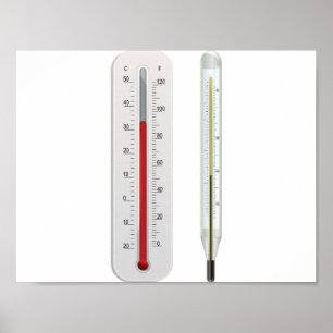 Two Thermometers Poster