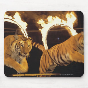 Two tigers leaping through burning rings of fire mouse mat