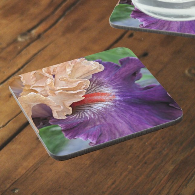 Two-Tone Bearded Iris Bloom Floral Coaster (In Situ)