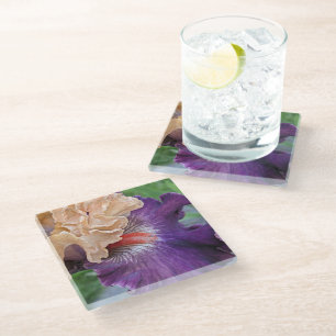 Two-Tone Bearded Iris Bloom Floral Glass Coaster