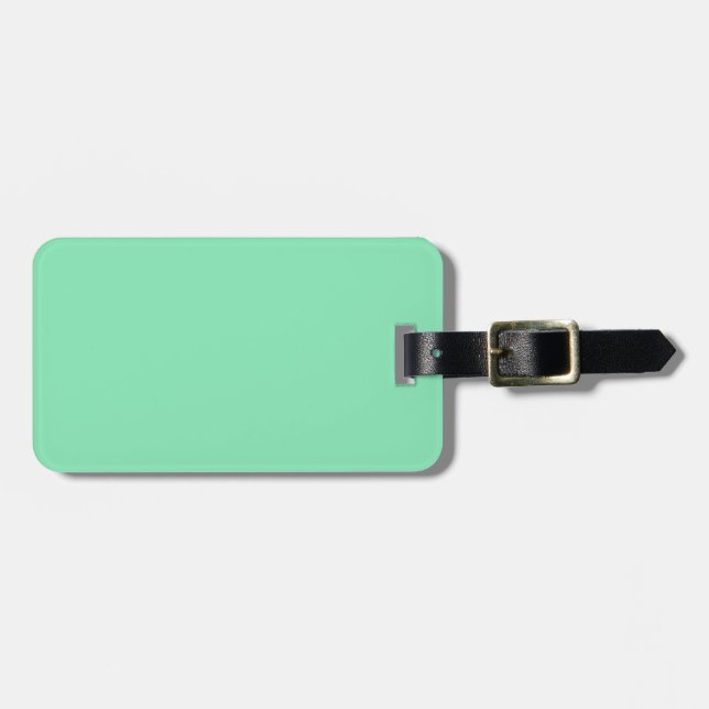 Two-Tone Brown & Mint Green Luggage Tag (Front Horizontal)
