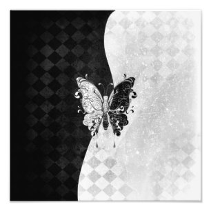 Two Tone Butterfly Photo Print