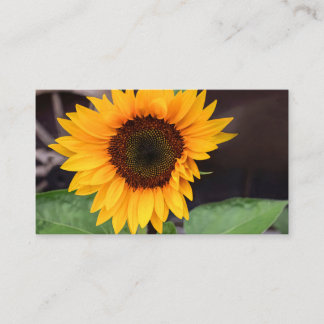 Two-Tone Mug, 15 oz Calling Card