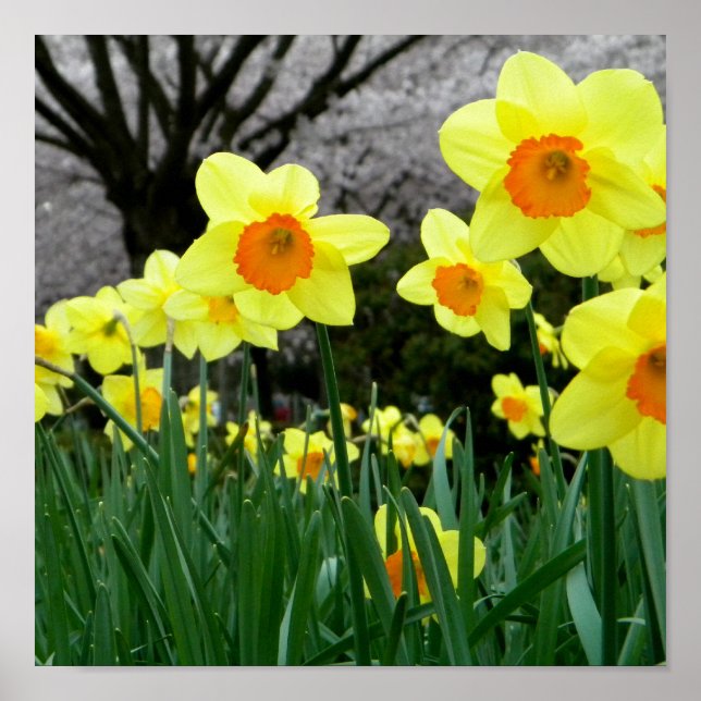 Two Tone Poster (Front)