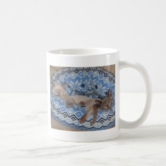 Two Tonkinese kittens sleeping Coffee Mug